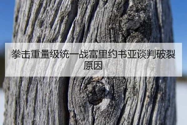 quan-ji-zhong-liang-ji-tong-yi-zhan-fu-li-yue-shu-ya-tan-pan-po-lie-yuan-yin-2-726.jpg