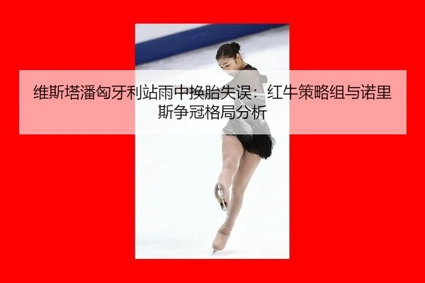 wei-si-ta-pan-xiong-ya-li-zhan-yu-zhong-huan-tai-shi-wu-hong-niu-ce-lve-zu-yu-nuo-li-si-zheng-guan-ge-ju-fen-xi-3-282.jpg
