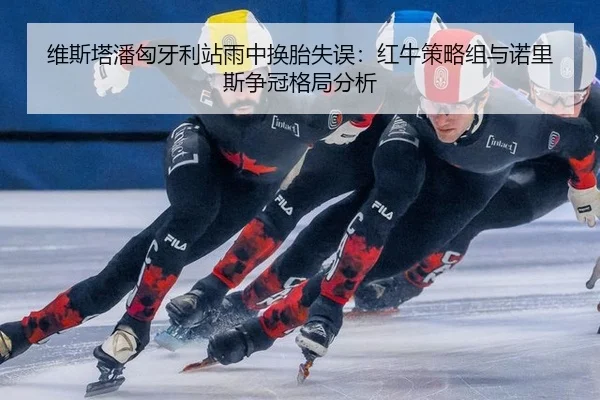 维斯塔潘匈牙利站雨中换胎失误：红牛策略组与诺里斯争冠格局分析